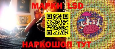 шишки Новозыбков