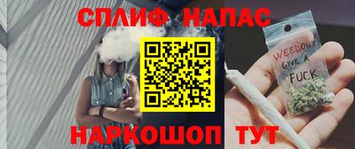 шишки Новозыбков