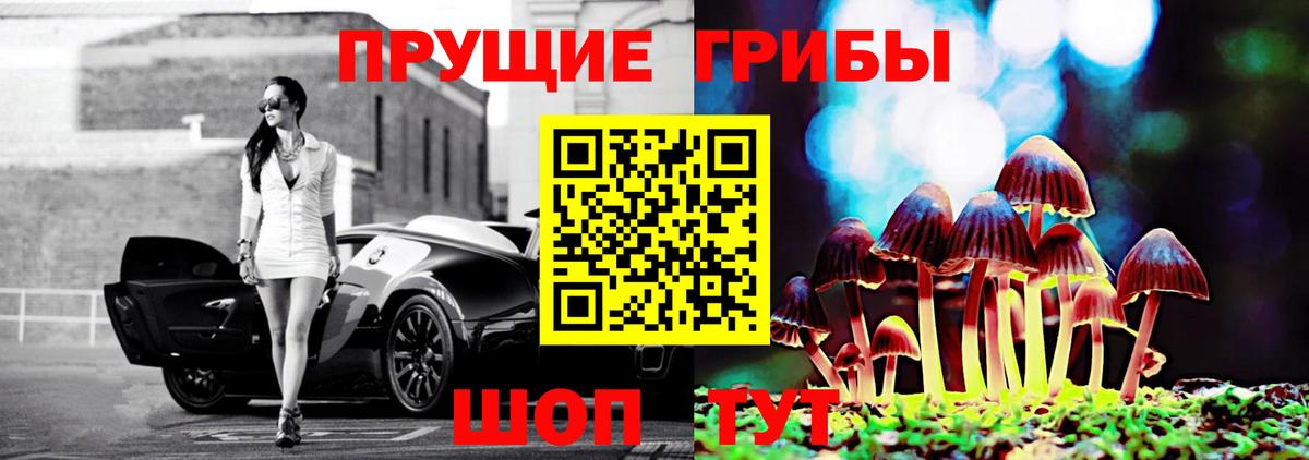 Псилоцибиновые грибы мухоморы Туймазы